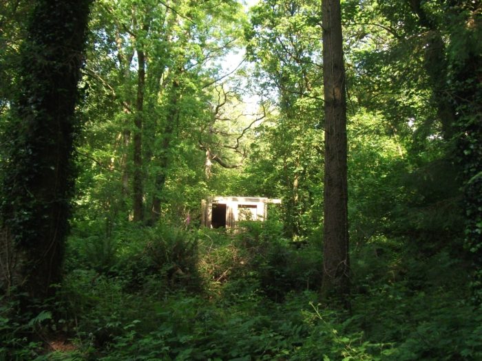 Alternative Bohemian Wedding Venue, Honiton, Devon. Countryside Farm Glamping / Camping with Bell Tent, Marquee and Yurts. Party and Hen Parties Hen Weekend Stag Party Bushcraft
