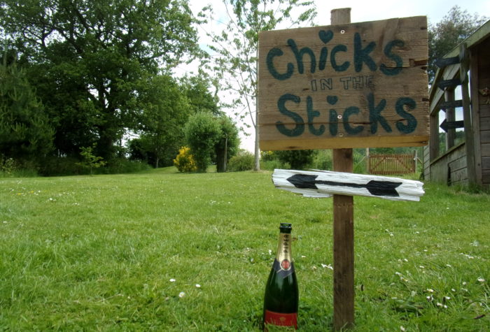 Chicks in the sticks_ glamping_hen weekend_ Devon_wooden sign
