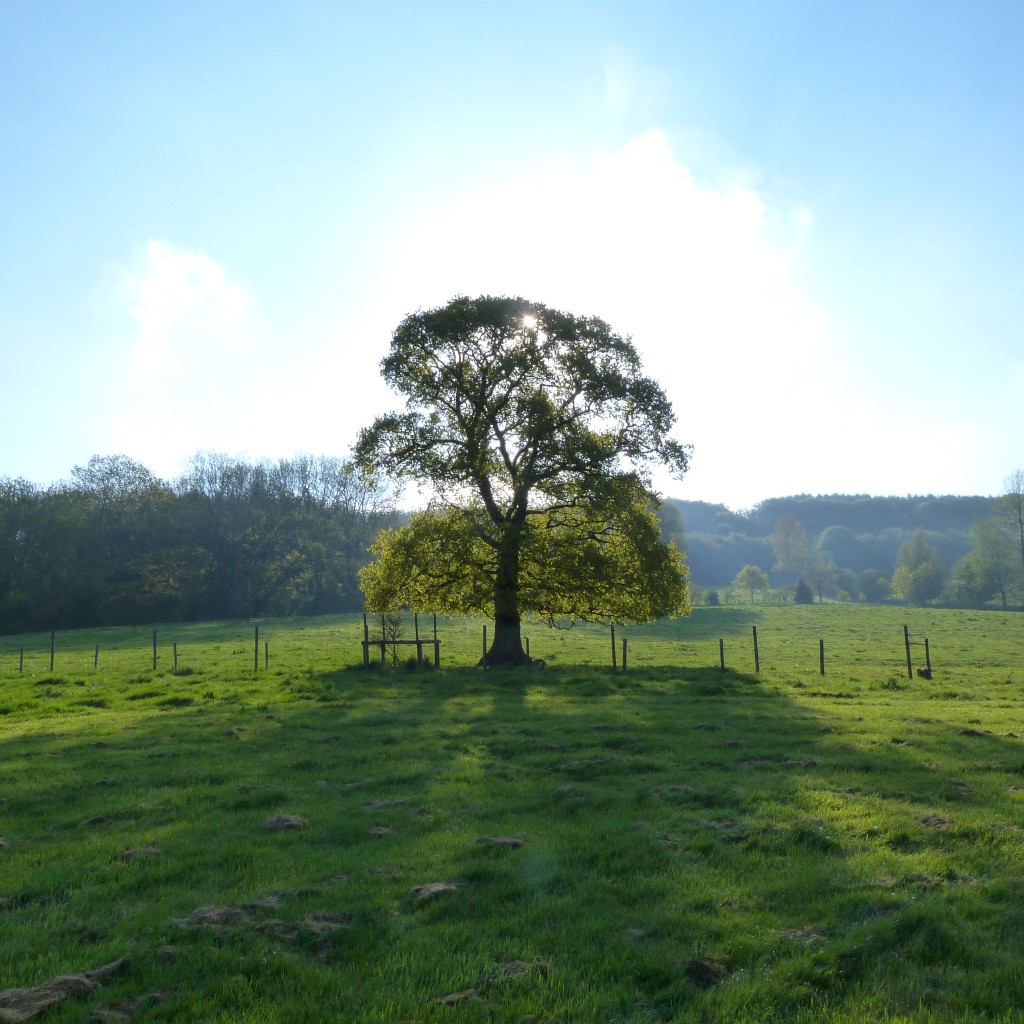 Glamping Wedding Party Hen Night Devon Camping Outdoo