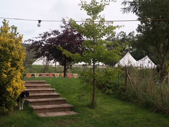 Chicks in the sticks_ glamping_hen weekend_ Devon