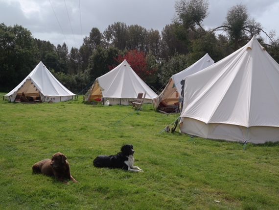 Gents in Tents Glamping Weekend _ Glamping Bell Tents_ Stag Weekend _