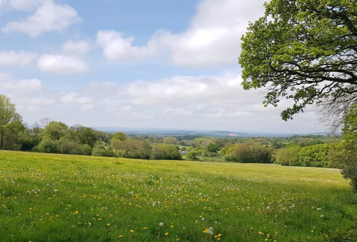 View of the wedding venue at GreenAcre Events, Devon
